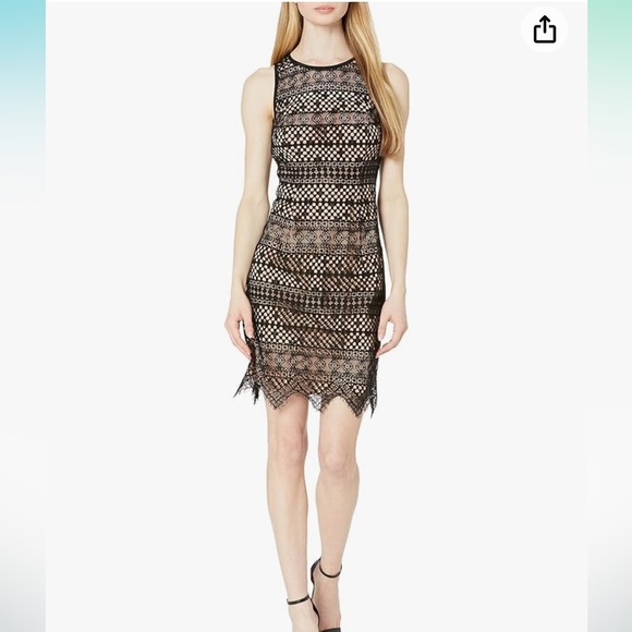 Shoshanna Dresses & Skirts - NWT Shoshanna Lace Bella Dress